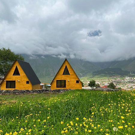 Pine Chalet Kazbegi Buitenkant foto