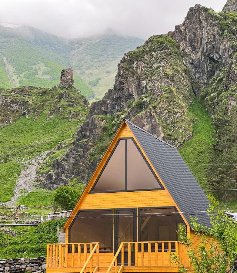 Pine Chalet Kazbegi Buitenkant foto
