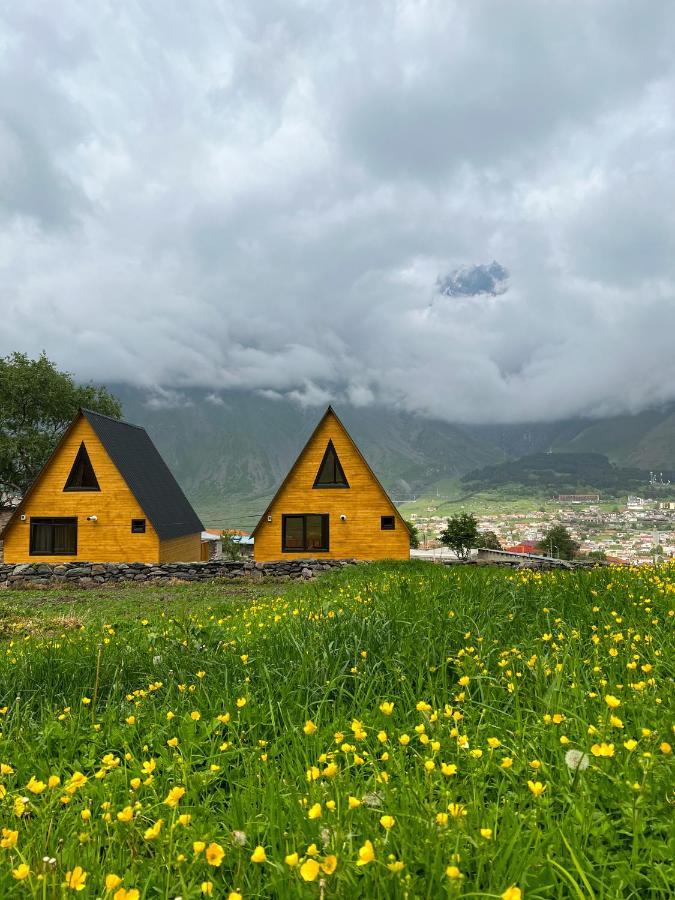 Pine Chalet Kazbegi Buitenkant foto