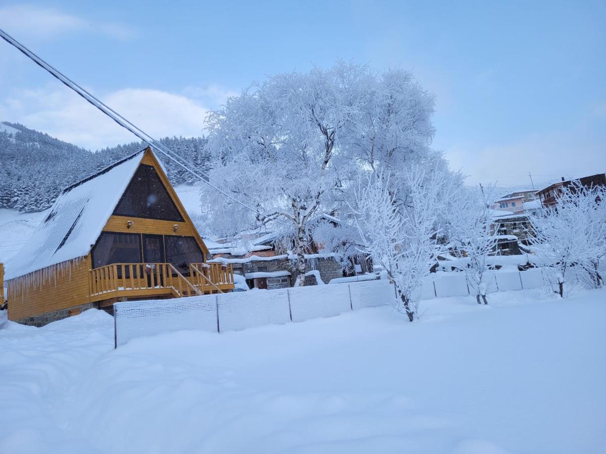 Pine Chalet Kazbegi Buitenkant foto