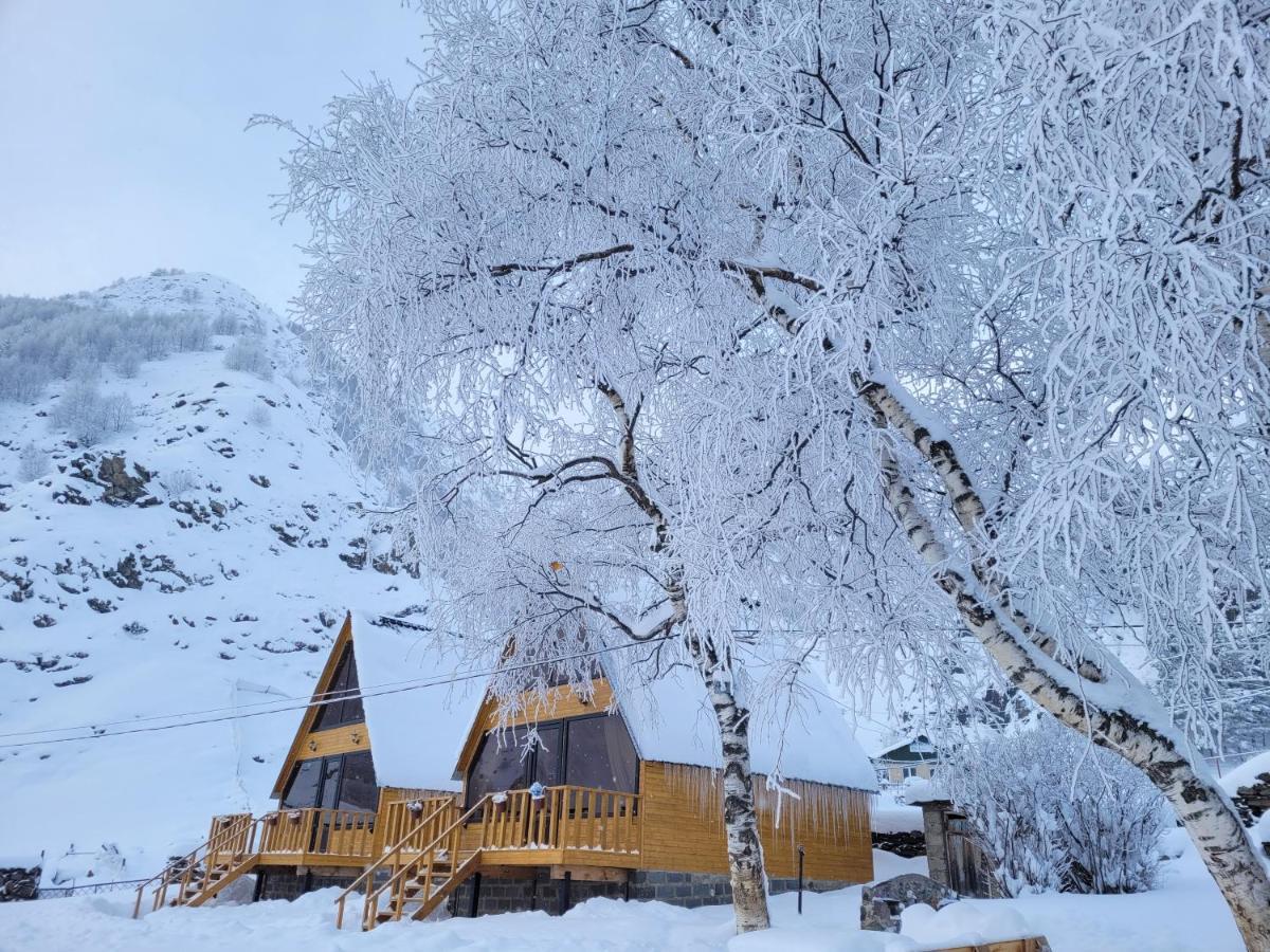 Pine Chalet Kazbegi Buitenkant foto