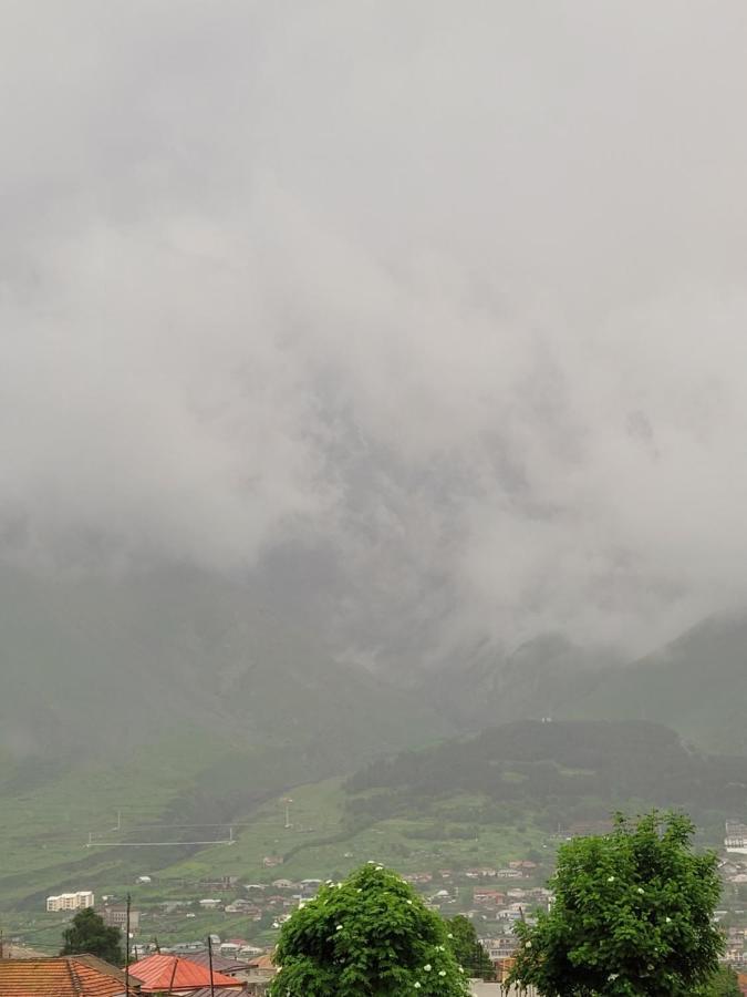Pine Chalet Kazbegi Buitenkant foto